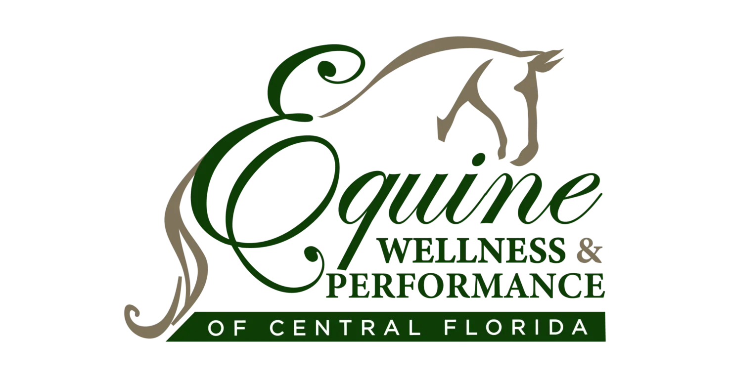 Equine Wellness and Performance