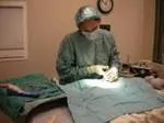 Las Vegas cat clinic provides anesthetic procedures