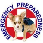 dog_emergency.jpg