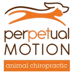 Perpetual Motion Animal Chiropractic
