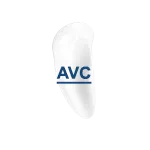 Acyclovir (AVC)