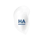 Hyaluronic acid (HA)