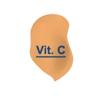 Vitamin C (Vit. C)