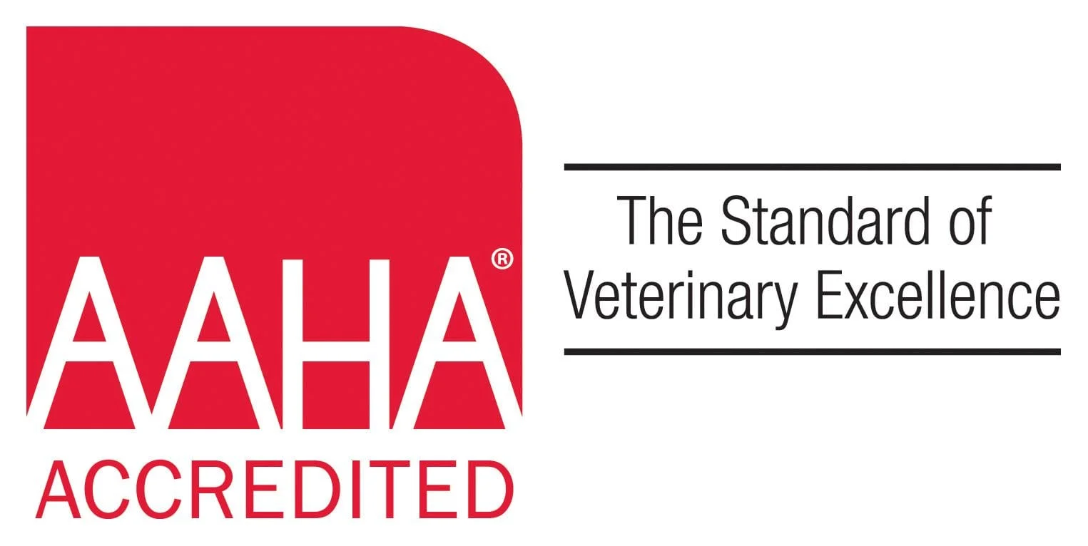 AAHA Veterinary Excellence Accredited