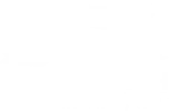 Backstretch Veterinary Assoc Inc