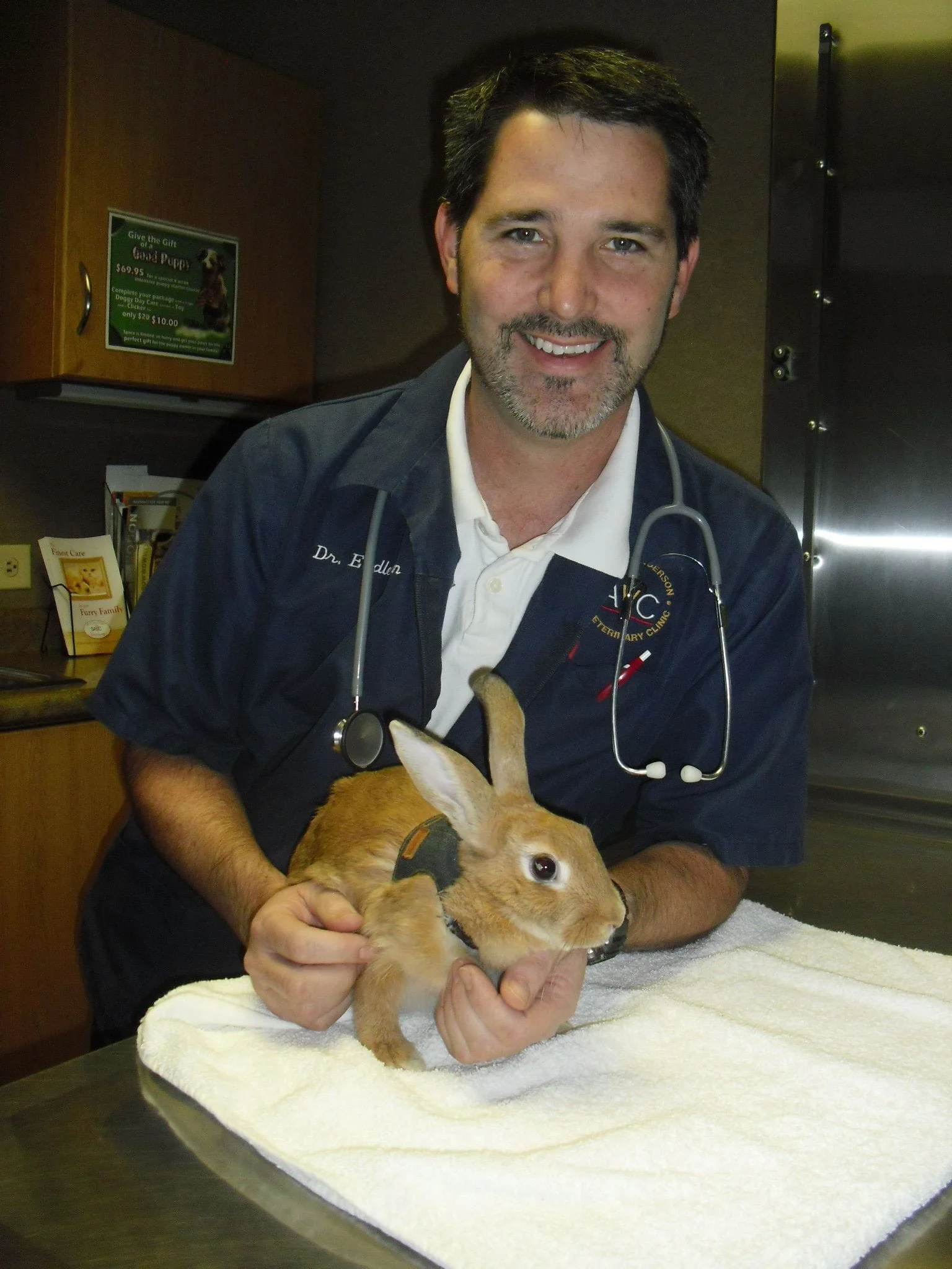 veterinarian with rabbit