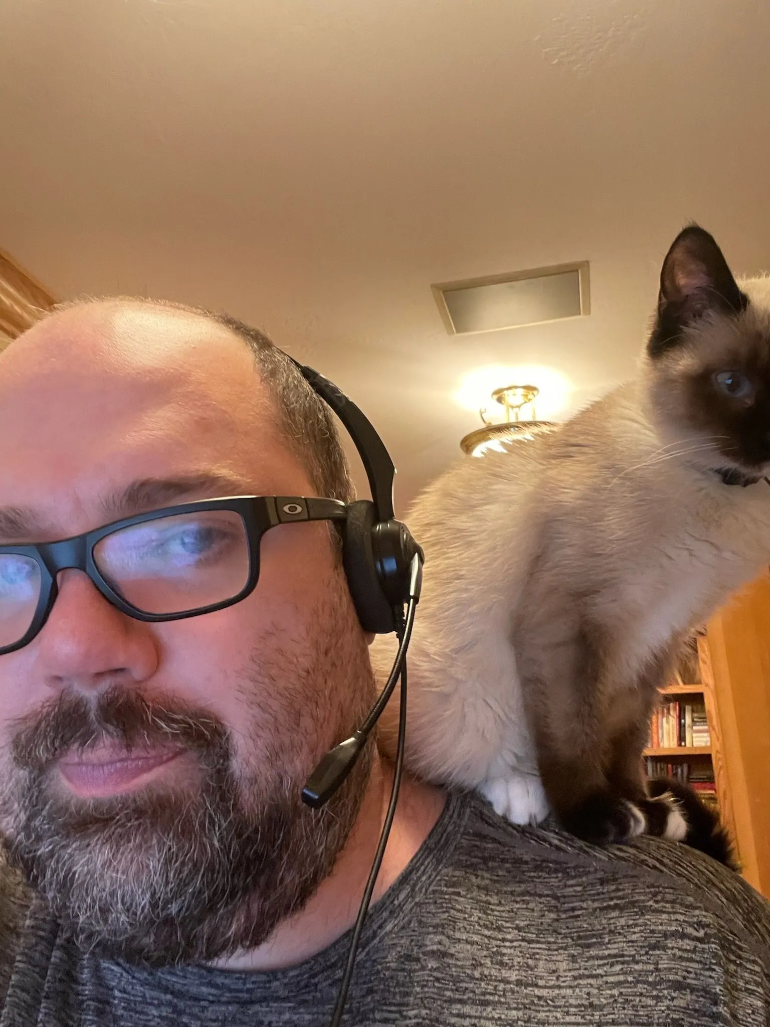 The Misses that Hisses Judging His Work