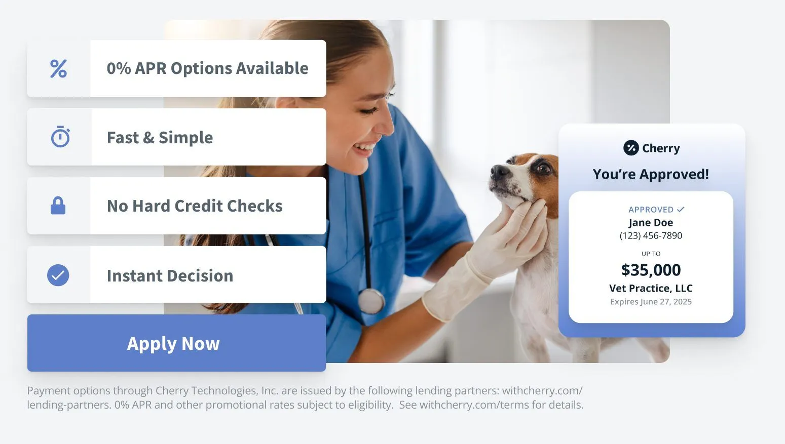 Cherry Pay Payment Options