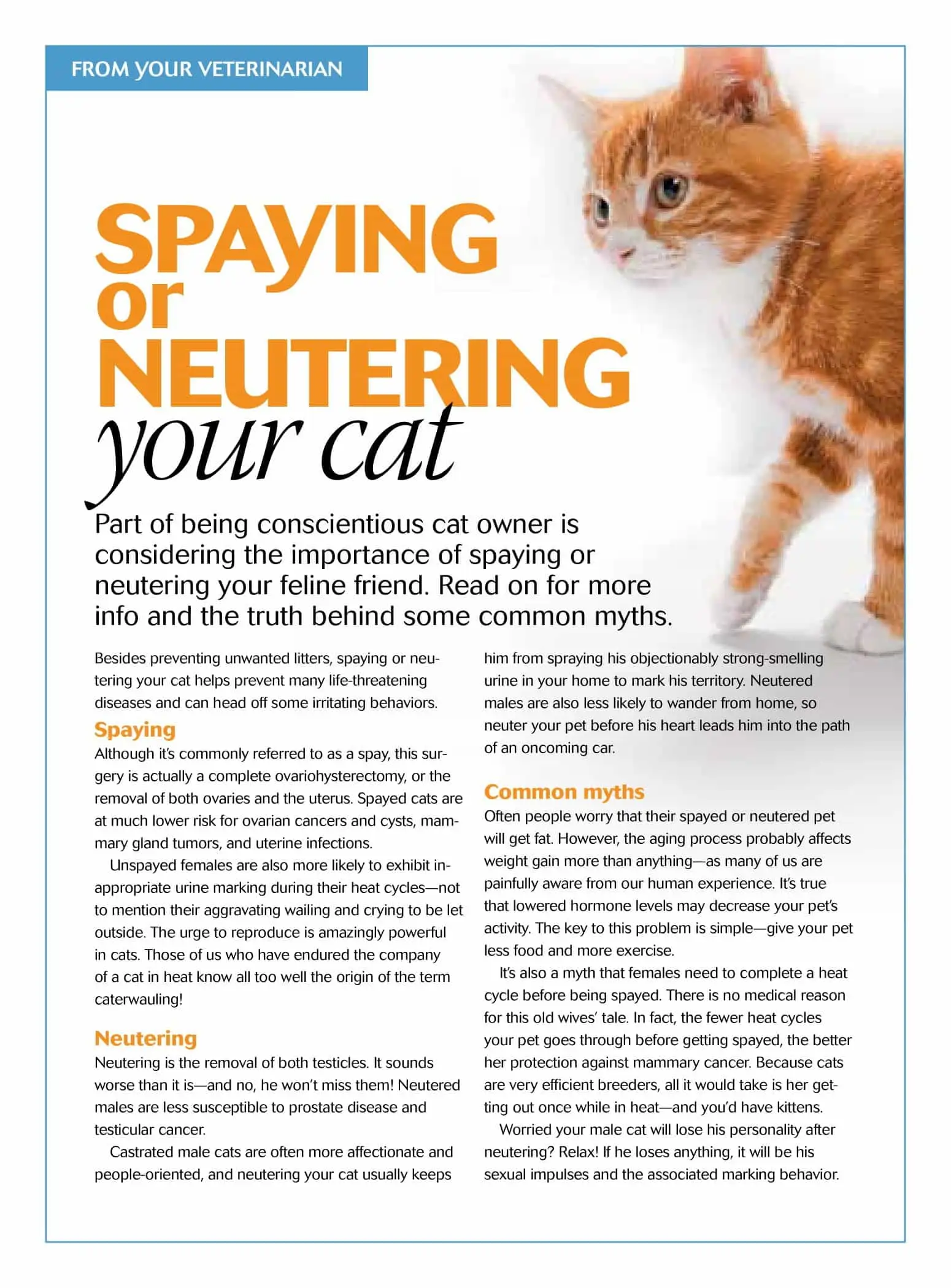 Cat Spay/Neuter Info
