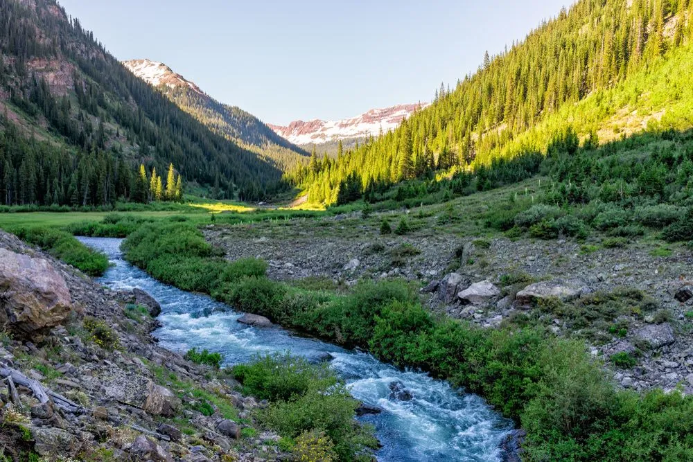 Chiropractor Roaring Fork Valley CO