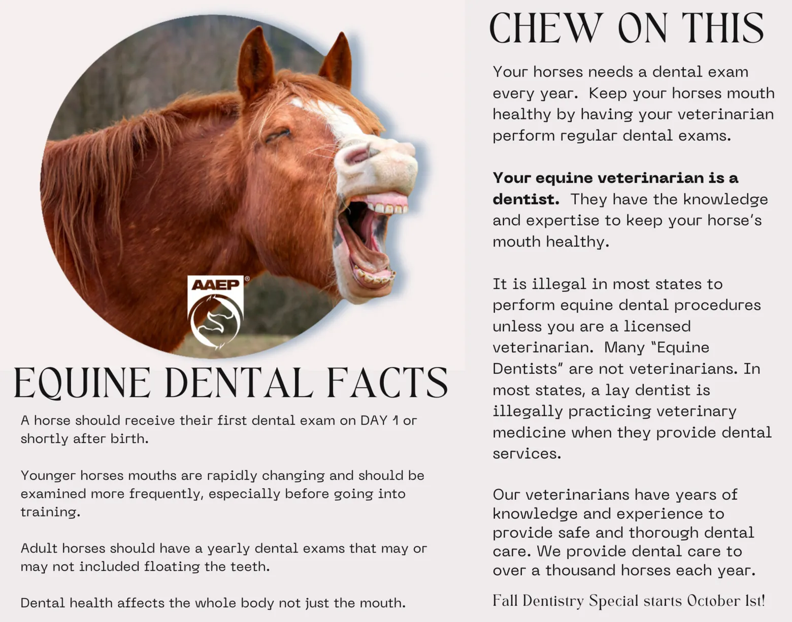 Dental Facts