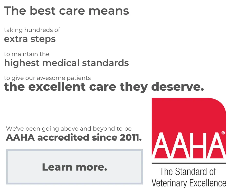 AAHA Accredited