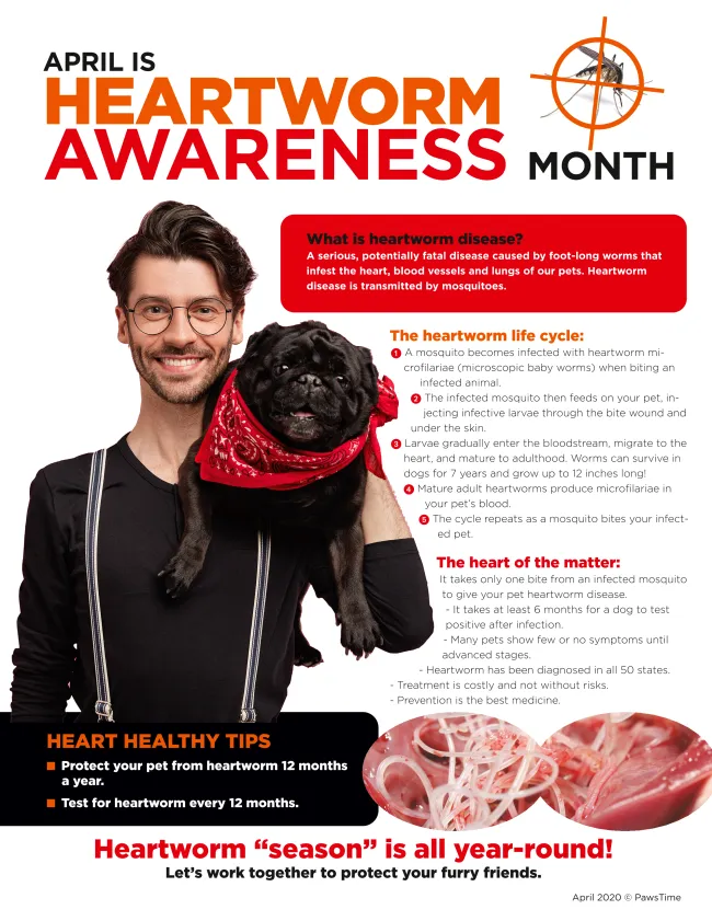 Heartworm Awareness