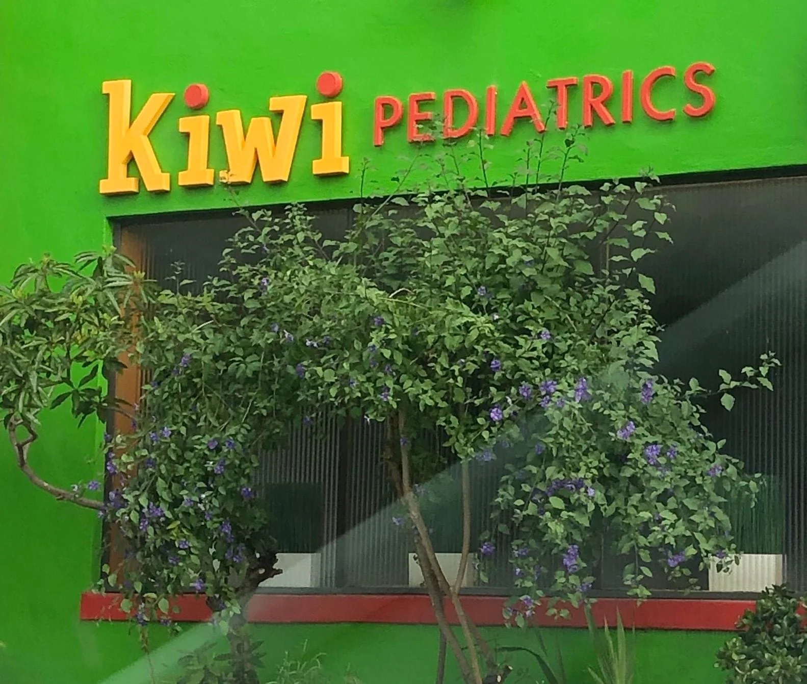 Kiwi ALC 