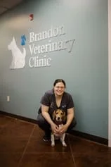 brandonvetclinic.com