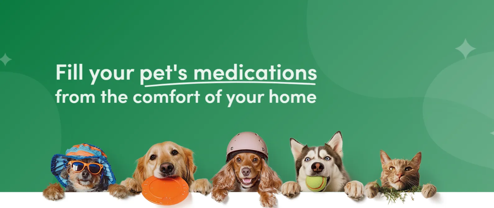 Veterinarian in Boca Raton, FL Boca Village Animal Hospital