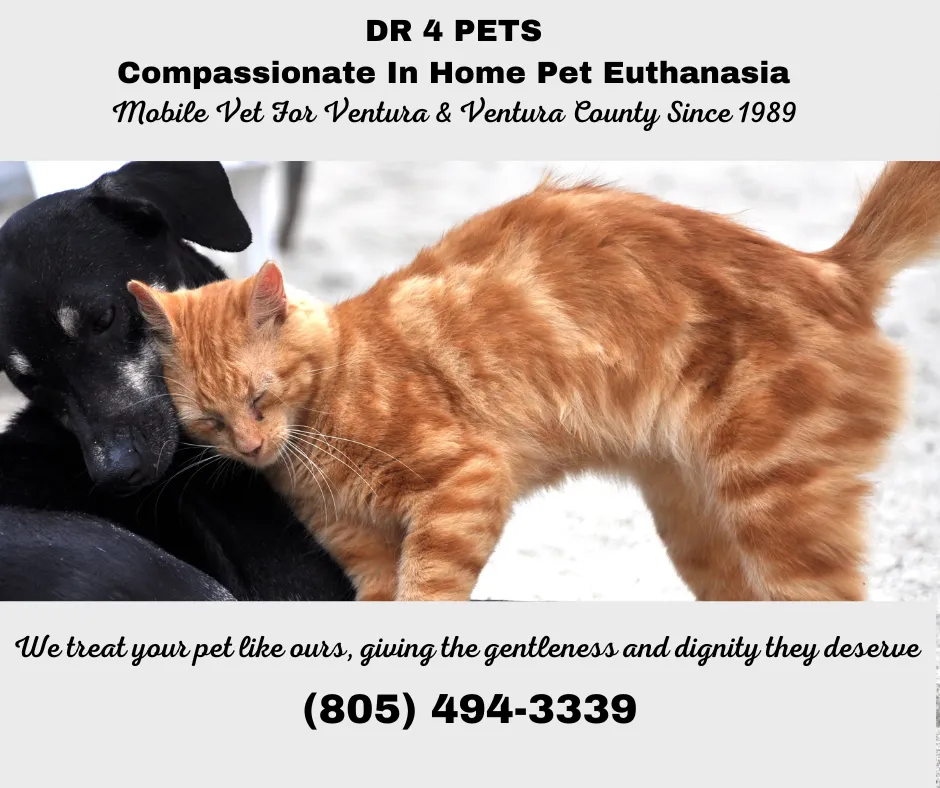 DR 4 PETS Ventura and Camarillo Mobile Vet Pet Euthanasia