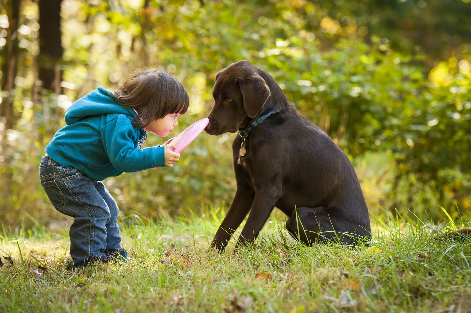 about Peaceful Pet In Home euthanasia in Tucson