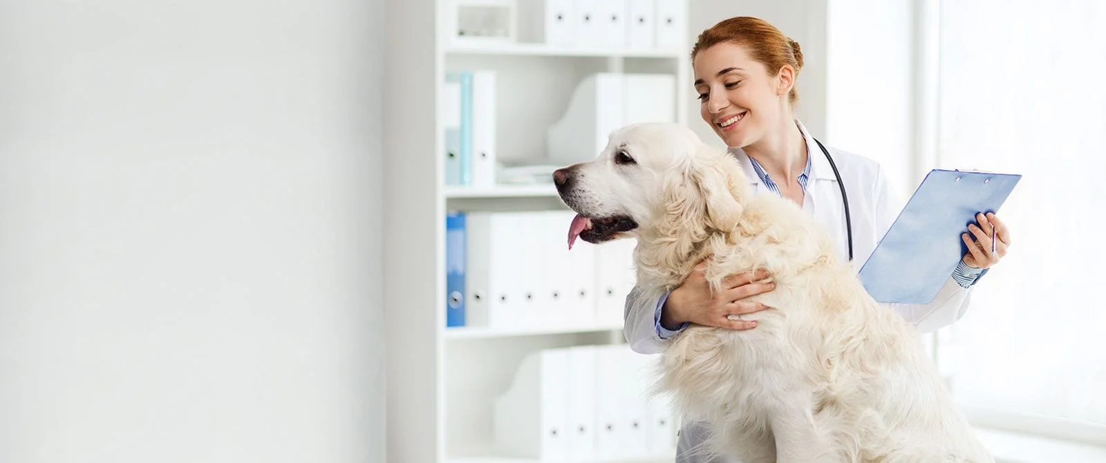 Pet Behavioral Counseling in Clifton