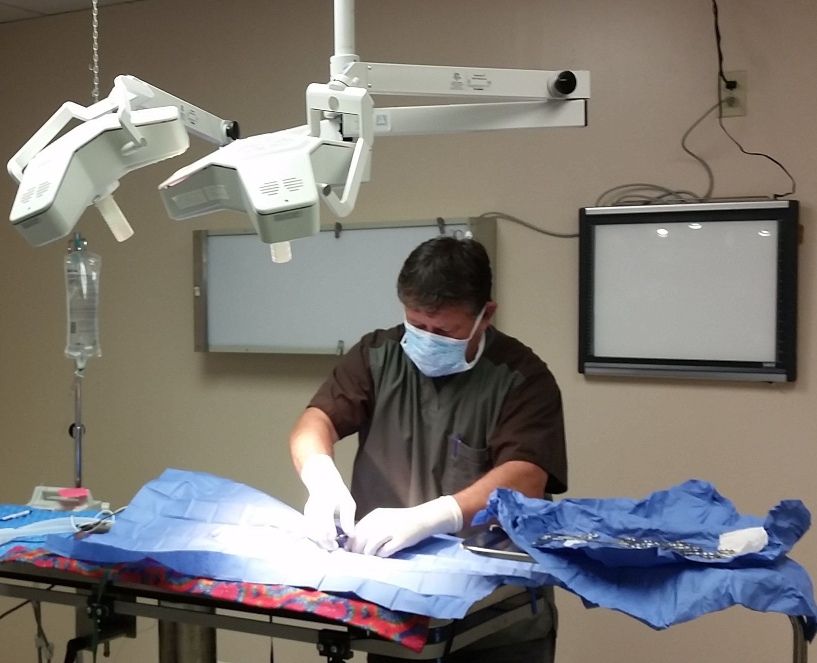 Whitewater Veterinary Hospital Veterinarian in Whitewater, WI US