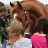 children and a horse