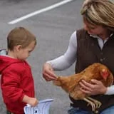 a boy with a pet chicken