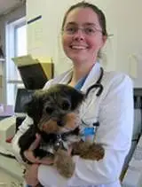 Veterinarian