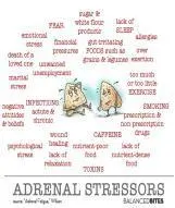 Adrenal_Picture33.jpg