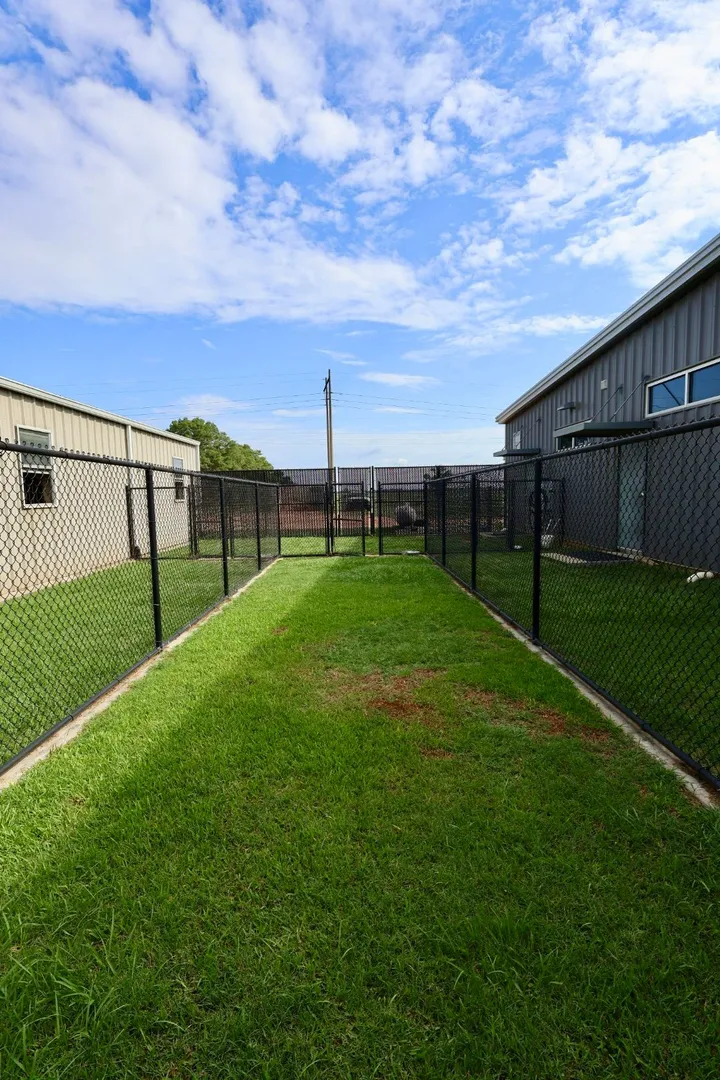 Kennel yard