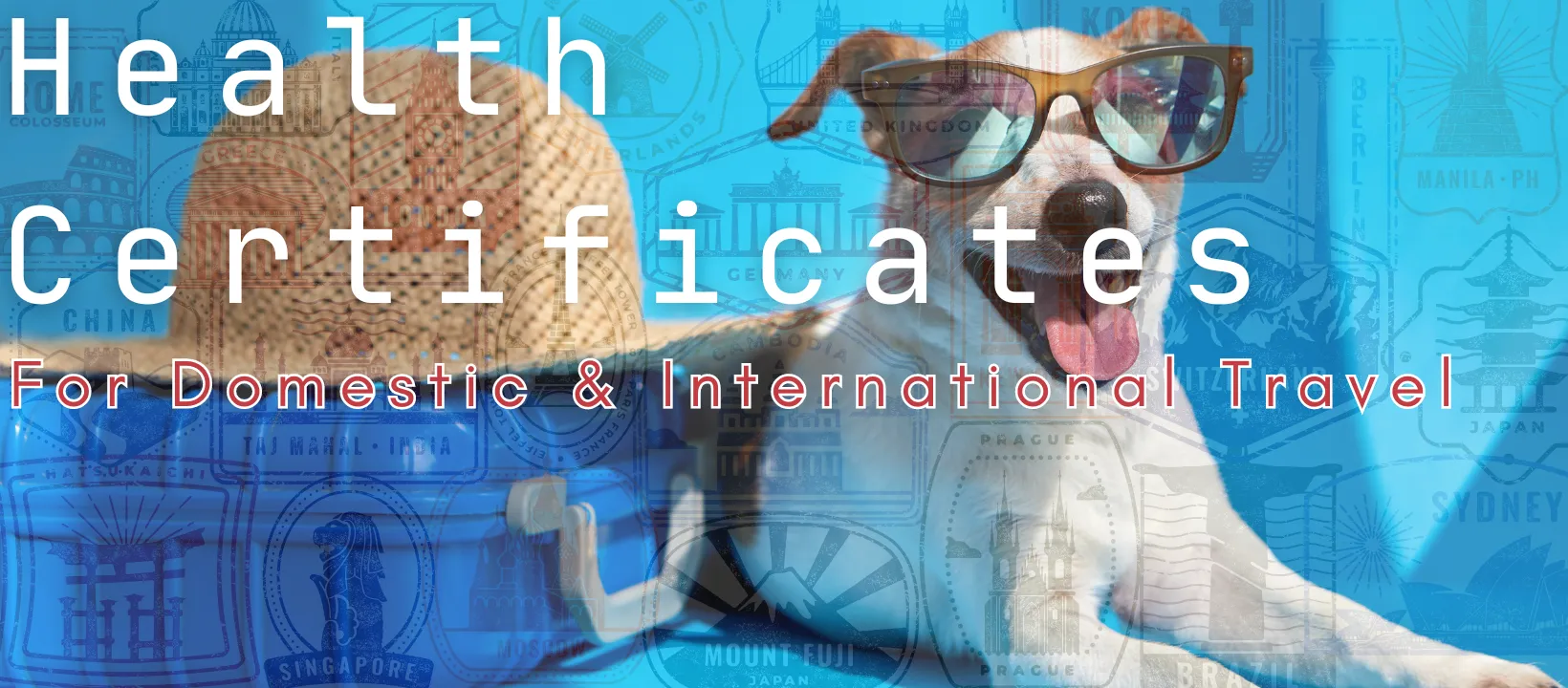 Health Certificates for Domestic and International Travel