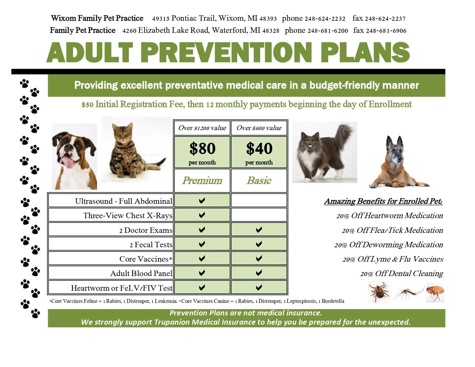 Adult Prevention Plans