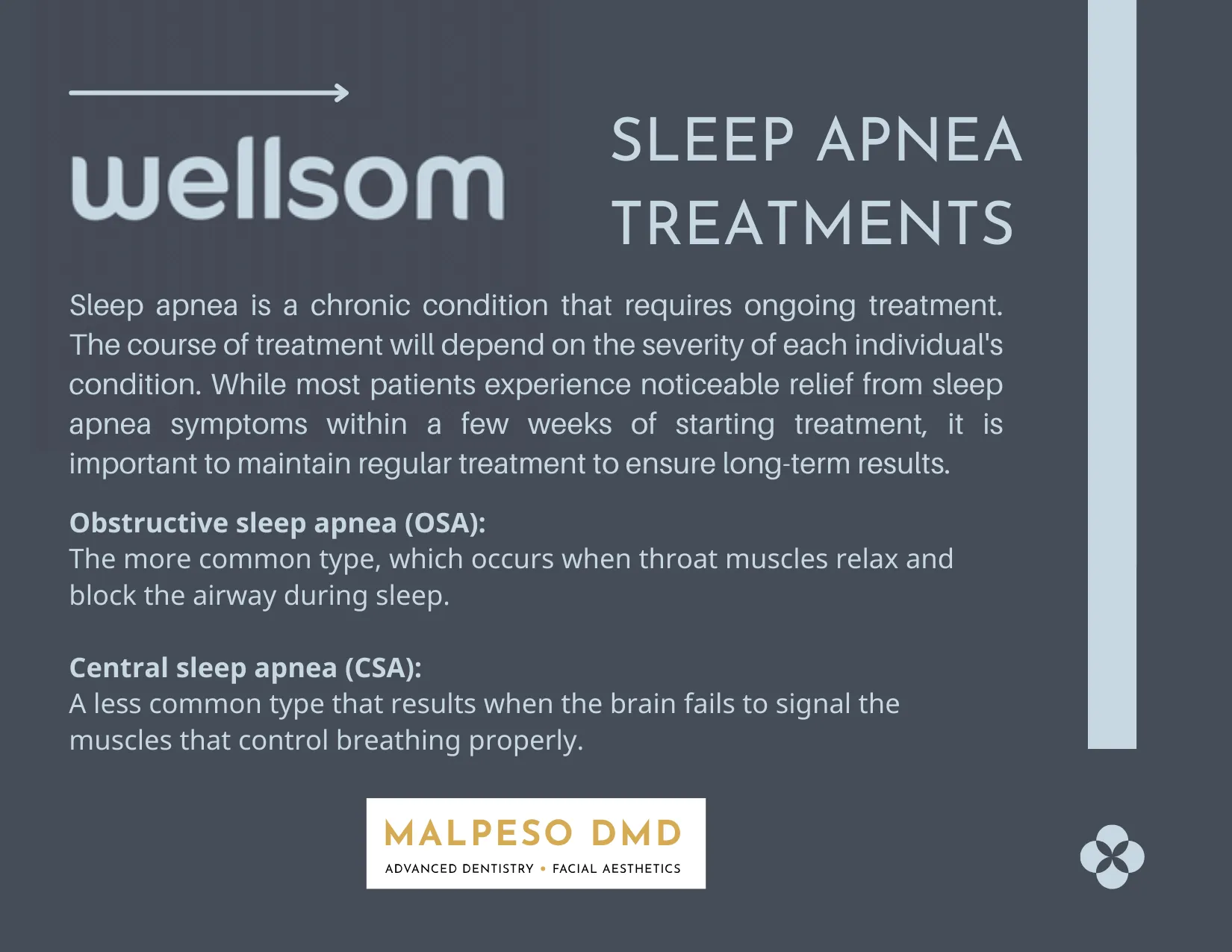 wellsom for sleep apnea p2