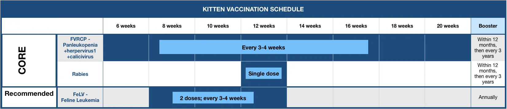 Kitten Vaccination Schedule