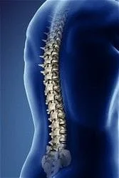 Spinal adjustments help reduce sciatica pain in the leg