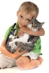 Hillsborough Veterinary | Hillsborough Vaccinations - Cats | NC | HomeVet Mobile Veterinary Care |