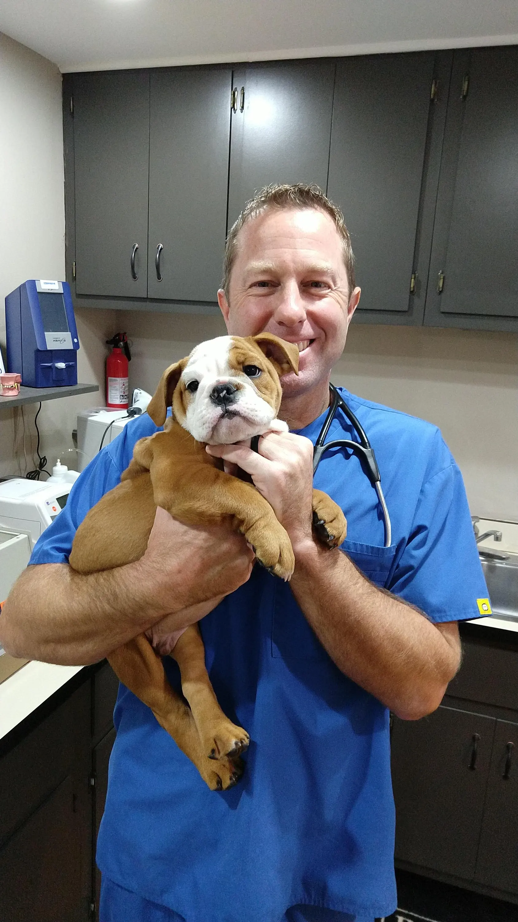 Roswell, GA Veterinarian Team Chattahoochee Animal Clinic