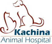 kachina animal hospital