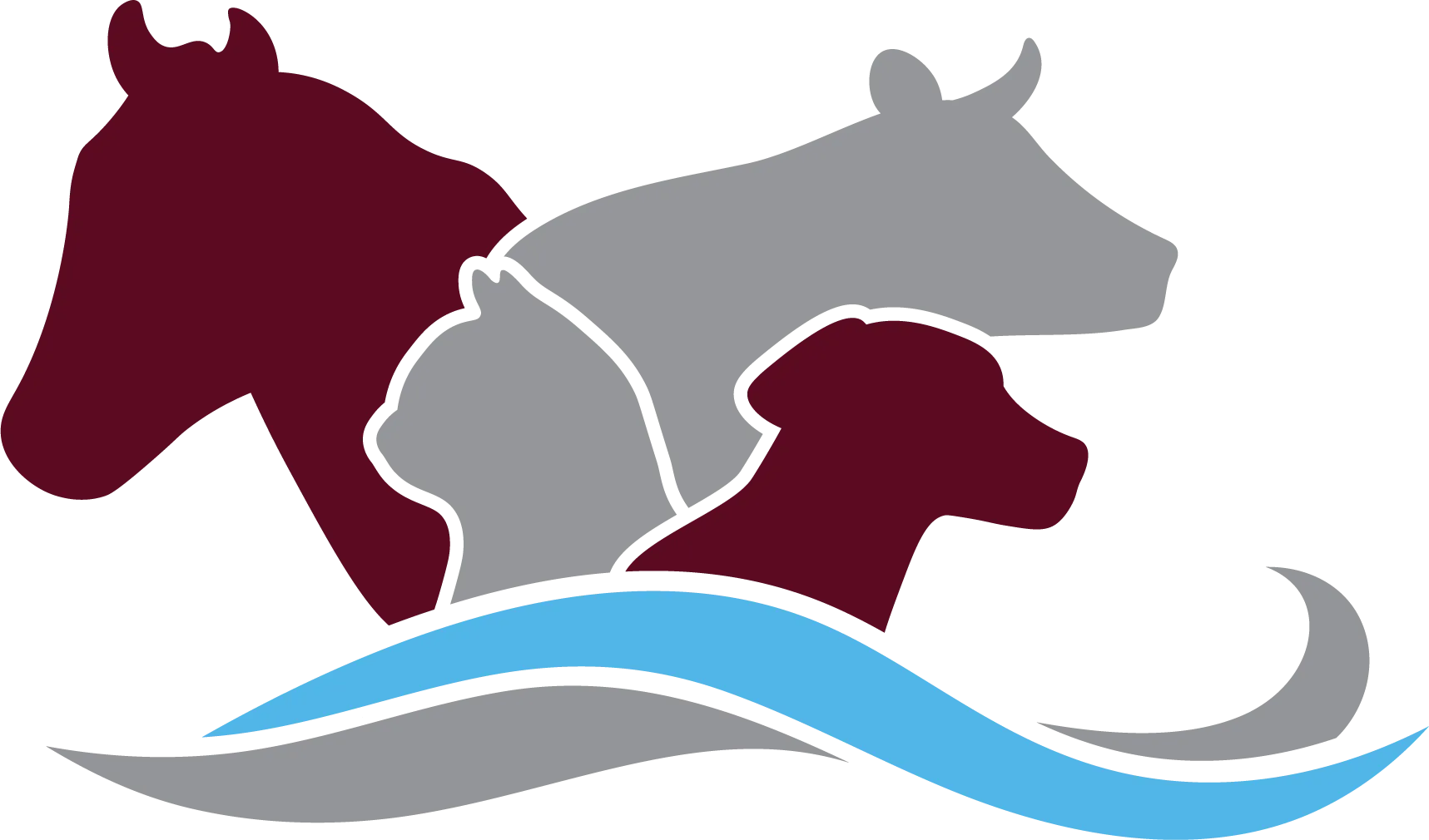 round optometry logo