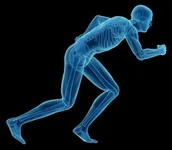 Catoggio Spine & Muscle Therapy Center