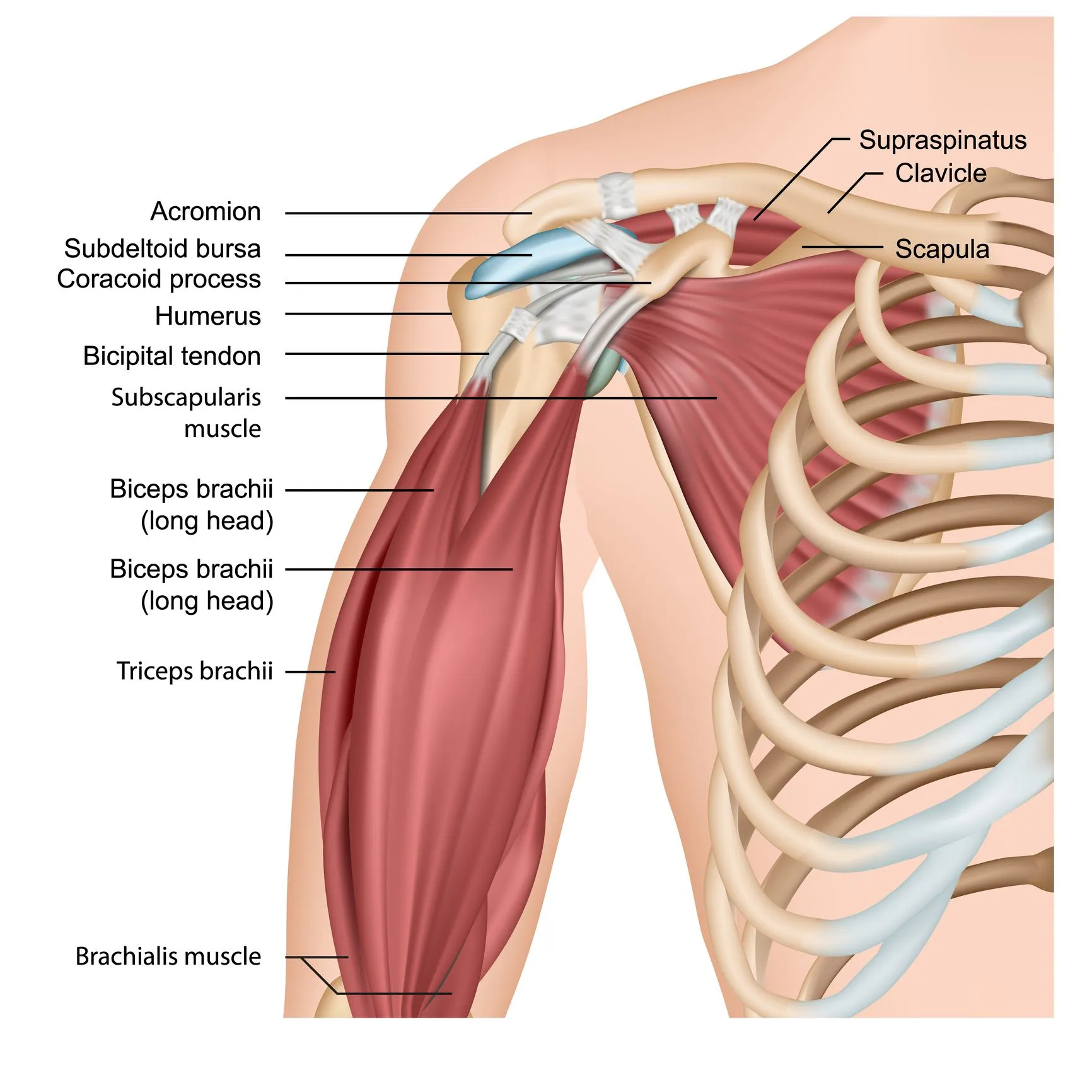 shoulder pain treatment in stone mountain ga