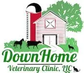 DownHome Logo