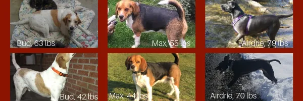 Weight Loss Challenge