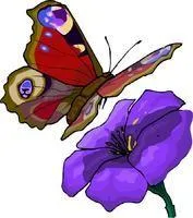 Butterfly and Purple Flower