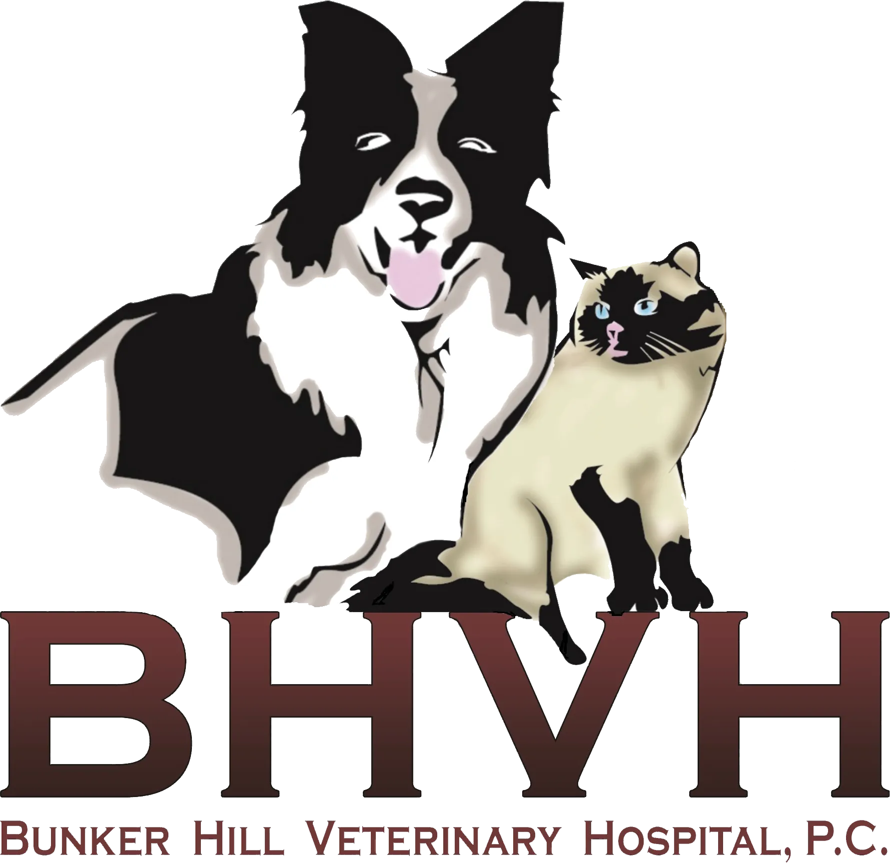 Bunker Hill Veterinary Hospital, P.C.