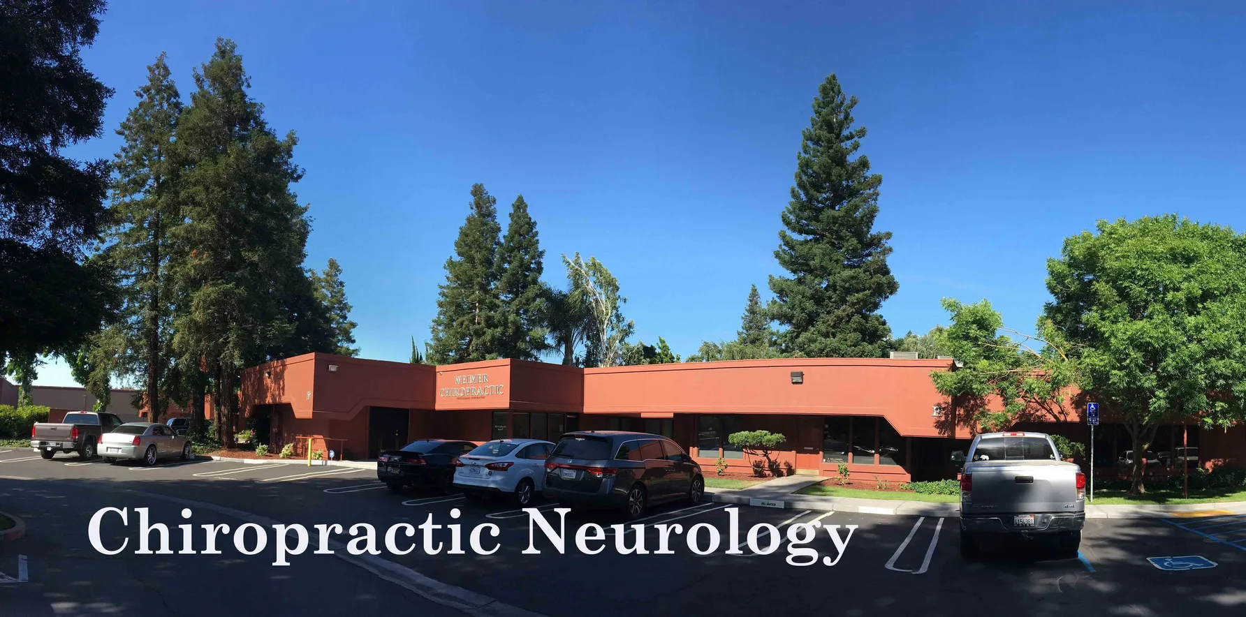 Chiropractic Neurology at Weimer Chiropractic.