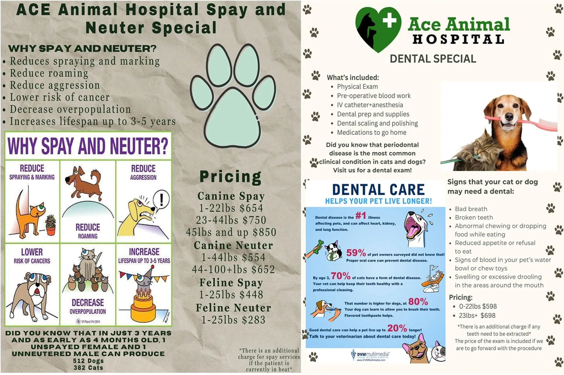 Ace Animal Hospital Specials