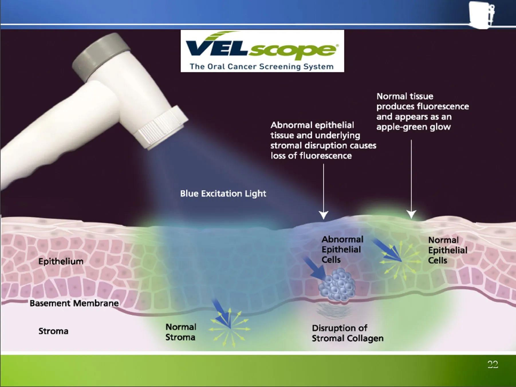 tissue chart