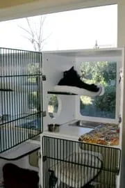Cat Boarding | Charlotte, NC Veterinary