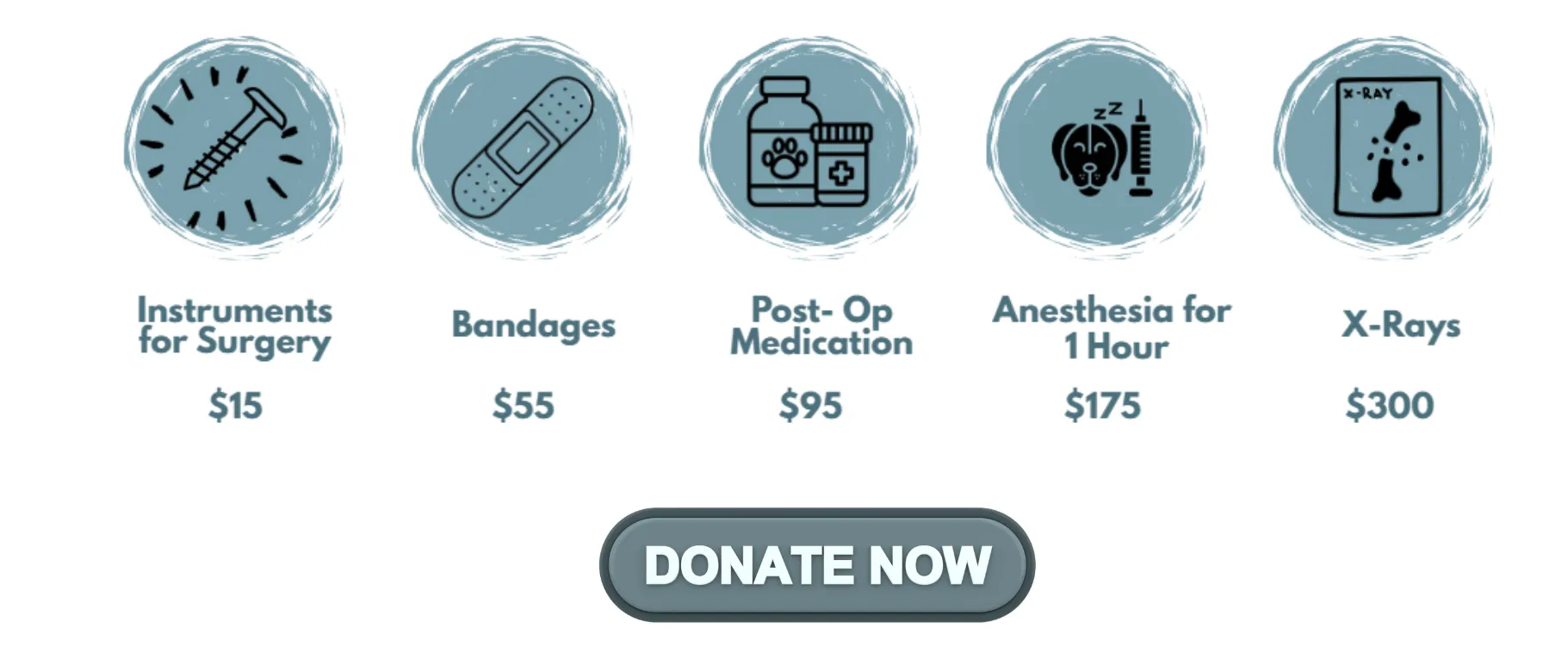 Donate Now to the Aspen Angel Fund