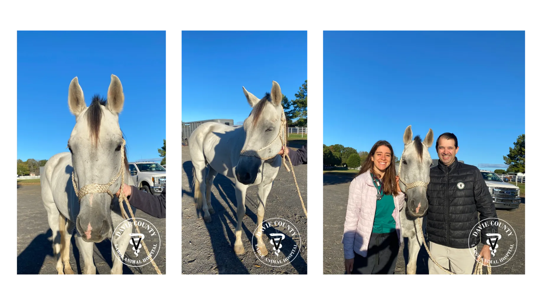 Dr. Castro and Dr. Escudero